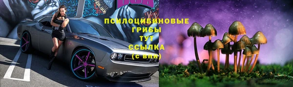 мяу мяу мука Армянск