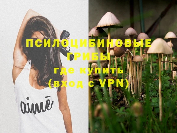 винт Аркадак