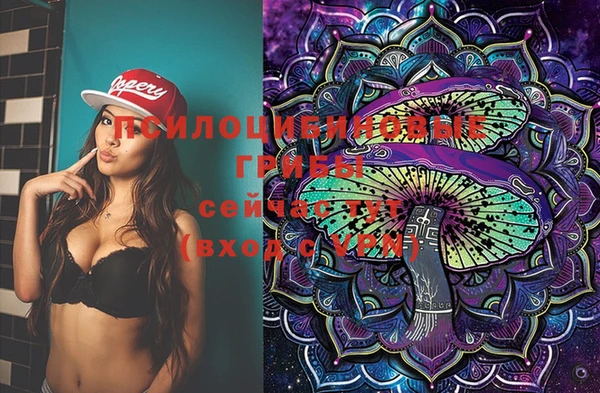 винт Аркадак