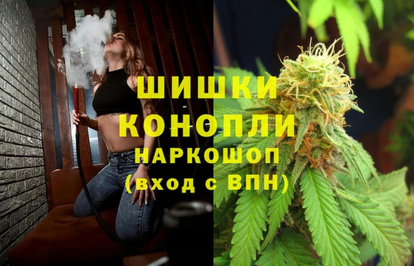 винт Аркадак